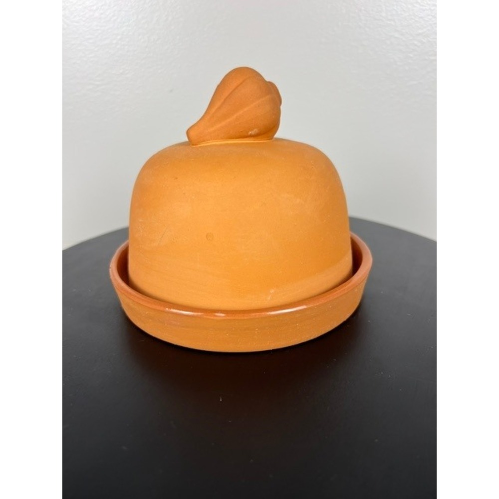Terracotta Garlic Roaster‎ Keeper Set with Glazed Base and Garlic Bulb Handle